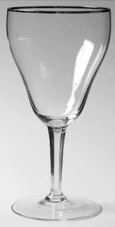 Pasco (Importer) Westwood Water Goblet   Platinum Trim, Pasco